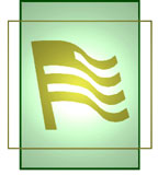 The logo of AA American Moving and Storage company, showcasing a golden-colored flying Flug with a radiant sun ray backdrop against a green background. The Flug, a symbol of freedom and movement, soars gracefully, representing the company's commitment to efficient and reliable relocation services. The golden hue adds a touch of elegance and professionalism, while the sun rays signify optimism and a bright future. The green background signifies growth, sustainability, and the company's dedication to environmentally friendly practices.
